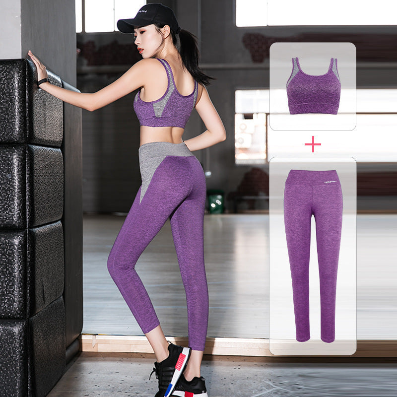Purple / L