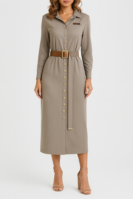 Elegant Shirt Dress